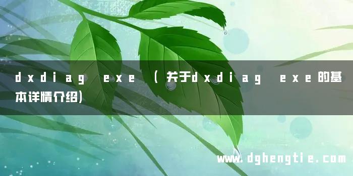 dxdiag exe (关于dxdiag exe的基本详情介绍)